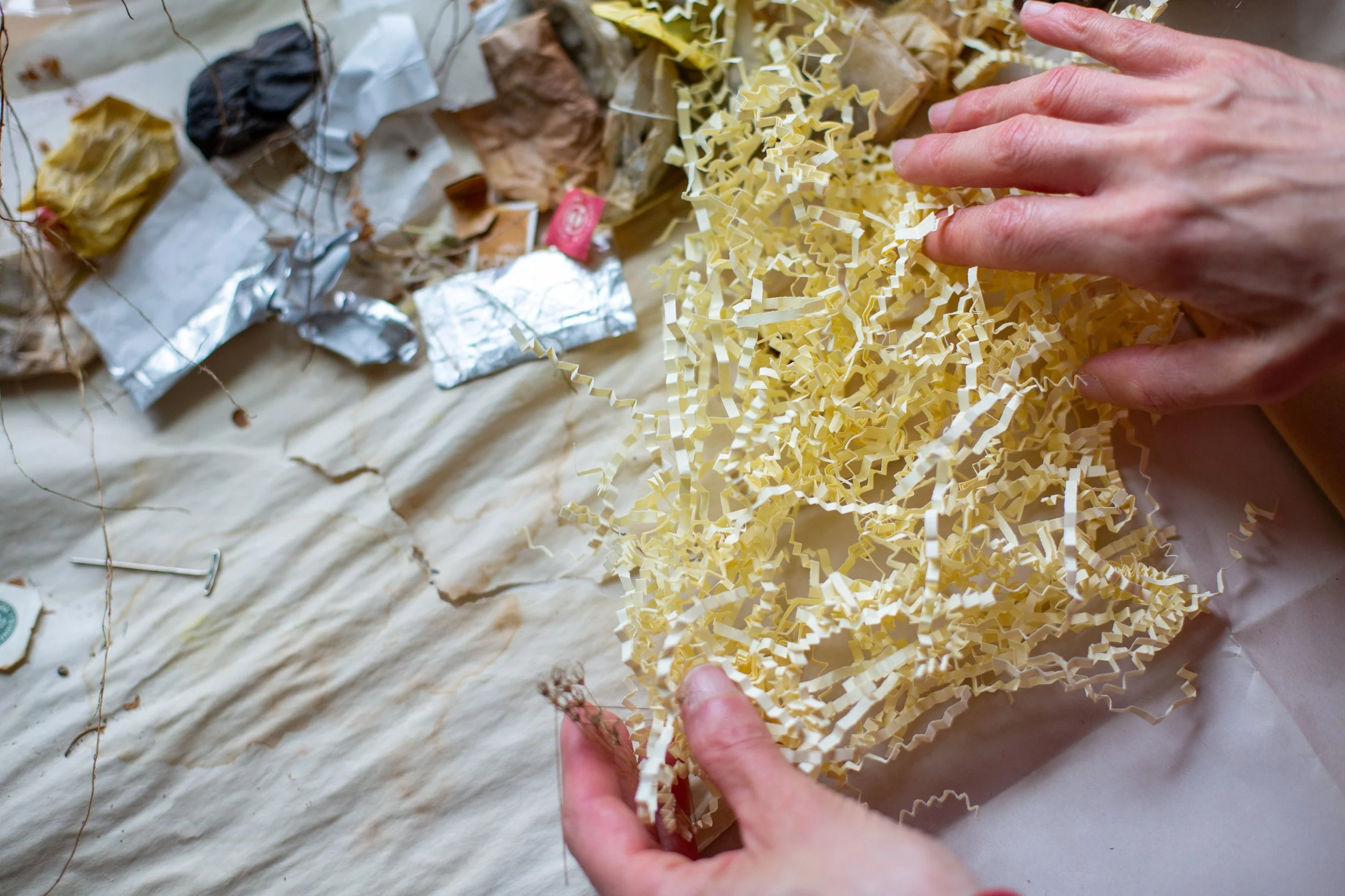 Elisa Abeloff studio